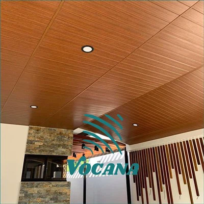 Pannelli da soffitto in WPC-resistenti al fuoco